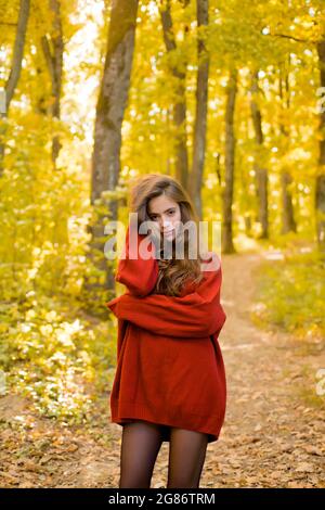 Verträumtes Mädchen mit langen Haaren in Strickpullover. Schöne Mode Frau im Herbst roten Kleid mit fallenden Blättern über Natur Hintergrund. Herbstliche Frau. Stockfoto