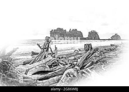 Die atemberaubende Landschaft von La Push Beach Stockfoto