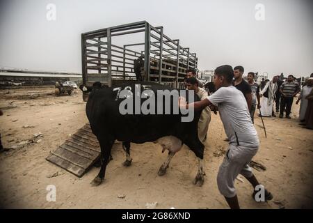 Palästina, Gaza. Juli 2021. (INT) Palästinenser versammeln sich, um Schafe auf einem Viehmarkt zu kaufen. 17. Juli 2021, Palästinensische Gebiete, Gazastreifen: Palästinenser versammeln sich, um Schafe auf einem Viehmarkt vor Eid al-Adha in Rafah, im südlichen Gazastreifen, zu kaufen. Bild: Yousef Masoud/TheNews2 (Bild: © Yousef Masoud/TheNEWS2 via ZUMA Press Wire) Stockfoto