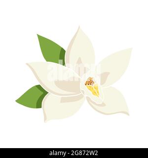 Abbildung Der Vanilleblume Im Flachen Stil. Vanilla Blossom Vorlage für Lebensmittel Logo, Emblem, Etikett, Rezept, Menü, Drucken, Aufkleber, Spa, Parfüm, Kosmetikprodukte Stock Vektor