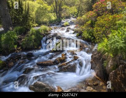 Mountain River Landscape in Eyne Valley, Französische Pyrenäen Stockfoto