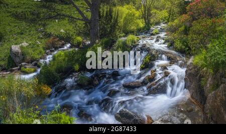 Mountain River Landscape in Eyne Valley, Französische Pyrenäen Stockfoto