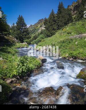 Mountain River Landscape in Eyne Valley, Französische Pyrenäen Stockfoto