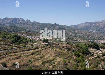 Anbau von Mandel- und Olivenbäumen auf Terrassen entlang der Straße und vorbei an Dörfern unter in Coll de Rates oder Costa Blanca Berge Spanien Stockfoto