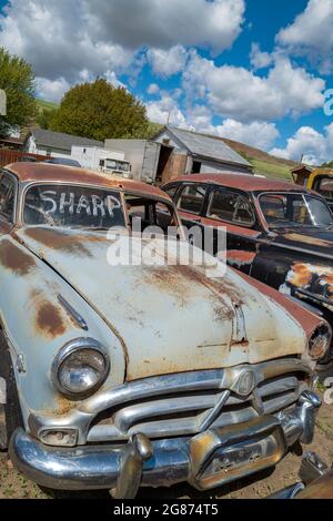 Die Vorderseite eines 1952 Hudson Commodore 8 zum Verkauf in Pomeroy, Washington, USA Stockfoto