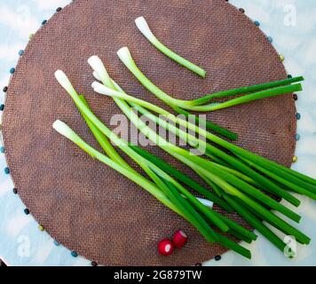 Ein Haufen grüner Zwiebeln und zwei kleine Radieschen spiegeln den Beginn der Frühjahrsernte in den Gärten von Missouri wider. Stockfoto