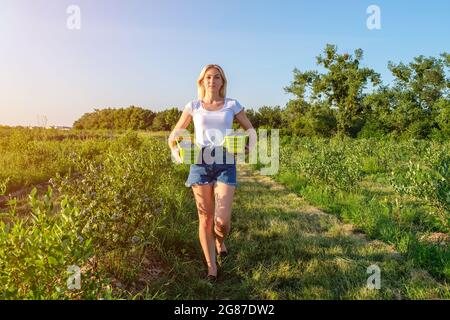 Nahaufnahme einer jungen Farmerin hält einen Korb mit Beeren in den Händen auf dem Bauernhof Stockfoto