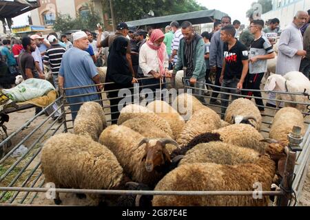 Rafah, Gaza. Juli 2021. Am Samstag, den 17. Juli 2021, kaufen und verkaufen Palästinenser Schafe und Ziegen auf einem Viehmarkt vor Eid al-Adha in Rafah im südlichen Gazastreifen. Muslime auf der ganzen Welt feiern Eid al-Adha, indem sie die Gräber ihrer Angehörigen besuchen und Schafe, Ziegen, Kühe und Kamele schlachten, um an die Bereitschaft des Propheten Abraham zu erinnern, seinen Sohn Ismail auf Gottes Befehl zu opfern.Foto von Ismael Mohamad/UPI Credit: UPI/Alamy Live News Stockfoto