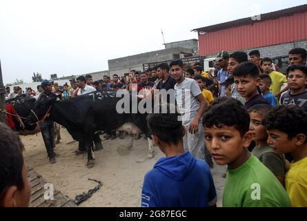 Rafah, Gaza. Juli 2021. Am Samstag, den 17. Juli 2021, kaufen und verkaufen Palästinenser Schafe und Ziegen, um sie auf einem Viehmarkt zu opfern, vor Eid al-Adha in Rafah im südlichen Gazastreifen. Muslime auf der ganzen Welt feiern Eid al-Adha, indem sie die Gräber ihrer Angehörigen besuchen und Schafe, Ziegen, Kühe und Kamele schlachten, zum Gedenken an die Bereitschaft des Propheten Abraham, seinen Sohn Ismail auf Gottes Befehl zu opfern. Foto von Ismael Mohamad/UPI Credit: UPI/Alamy Live News Stockfoto