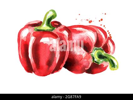 Roter Paprika. Aquarell handgezeichnete Illustration, isoliert auf weißem Hintergrund Stockfoto