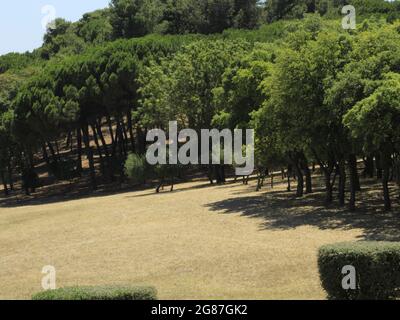 Lissabon, Lissabon Portugal. Juli 2021. (INT) Blick auf den Bela Vista Park, wo die 9. Ausgabe von Rock in Rio Lisboa stattfinden wird. 17. Juli 2021, Lissabon, Portugal: Blick auf den Bela Vista Park, wo die 9. Ausgabe von Rock in Rio Lisboa stattfinden wird, die im Juni 2022 stattfinden soll. Bild: Edson de Souza/TheNews2 (Bild: © Edson De Souza/TheNEWS2 via ZUMA Press Wire) Stockfoto