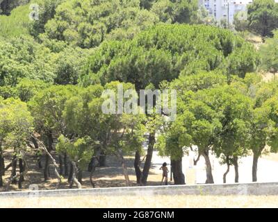 Lissabon, Lissabon Portugal. Juli 2021. (INT) Blick auf den Bela Vista Park, wo die 9. Ausgabe von Rock in Rio Lisboa stattfinden wird. 17. Juli 2021, Lissabon, Portugal: Blick auf den Bela Vista Park, wo die 9. Ausgabe von Rock in Rio Lisboa stattfinden wird, die im Juni 2022 stattfinden soll. Bild: Edson de Souza/TheNews2 (Bild: © Edson De Souza/TheNEWS2 via ZUMA Press Wire) Stockfoto