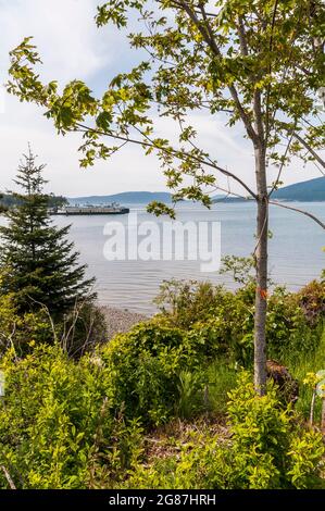 Blick von der Wohnsiedlung auf der Navigator Lane in der Nähe des Anacortes Ferry Terminal in Anacortes, Washington. Stockfoto