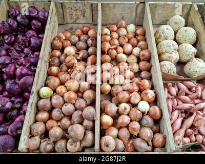 Britische Farm Shop Display zeigt eine Vielzahl von Zwiebeln und anderen Gemüse zum Verkauf Stockfoto