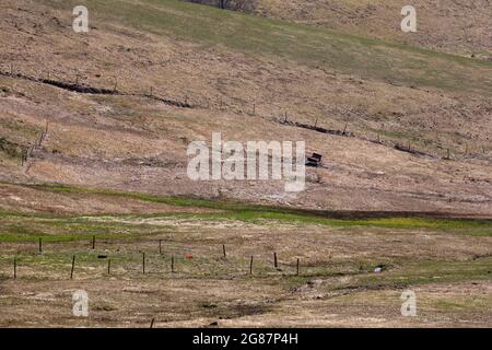 Textur von feuchten landwirtschaftlichen Böden im frühen Frühjahr. Neues Leben, frisches Gras auf der Wiese, nach dem Wintertauen. Stockfoto