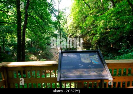 Blick vom Cedar Sink Trail, Mammoth Cave National Park, Kentucky Stockfoto