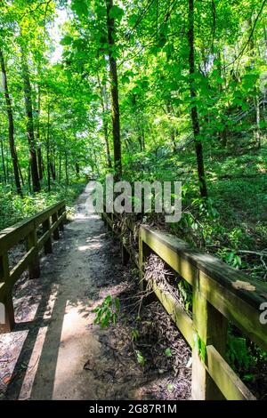 Blick vom Cedar Sink Trail, Mammoth Cave National Park, Kentucky Stockfoto