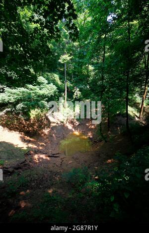 Blick vom Cedar Sink Trail, Mammoth Cave National Park, Kentucky Stockfoto