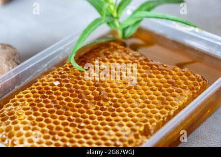 Mischungen von Honig, Ingwer und Knoblauch, die in der Kälte nützlich und erfrischend für den Körper sind Stockfoto
