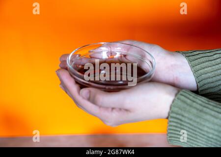 Frau Hände halten eine Schüssel mit Honig mit orangefarbenem Hintergrund Stockfoto