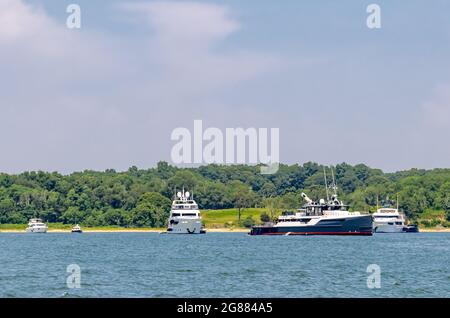 Mehrere große private Yachten in Smith Cove, Shelter Island, NY Stockfoto