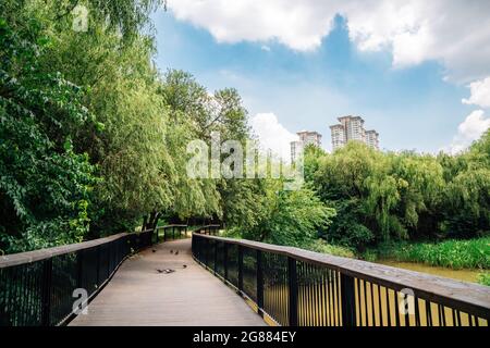 Yeouido Saetgang Eco Park in Seoul, Korea Stockfoto