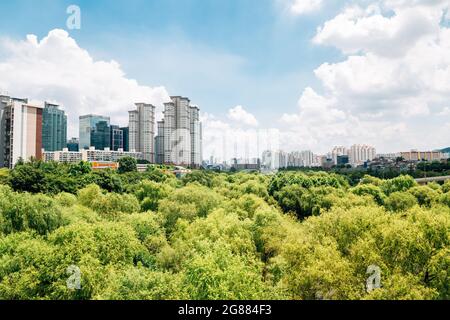 Yeouido Saetgang Eco Park und moderne Gebäude in Seoul, Korea Stockfoto