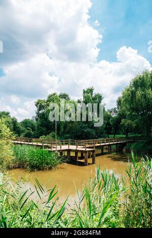 Yeouido Saetgang Eco Park in Seoul, Korea Stockfoto