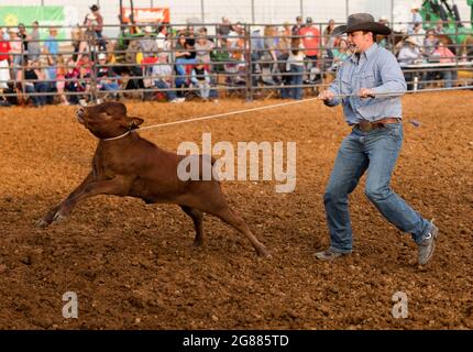 Bloomington, Indiana, USA. Juli 2021. Joseph Waling aus Williamsport, Indiana, tritt während des Bar J Rodeo 3 auf der Monroe County Fair an der Festveranstaltung zum Festhalten an.die Monroe County Fair in Bloomington, Indiana, ist eine einwöchige jährliche Ausstellung für Handwerk, landwirtschaftliche Produkte und Viehzucht, ein Gemeindetreffen und ein Festival, das auf dem County Fairgrounds stattfindet. County Messen in den USA sind eine Tradition und Teil der Kultur tief in ländlichen amerikanischen Leben verwurzelt. County Messen begann vor langer Zeit als eine Möglichkeit für Landwirte und landwirtschaftliche Arbeitnehmer zu sammeln und Kontakte zu knüpfen. (Bild: © Jeremy Hogan/ Stockfoto