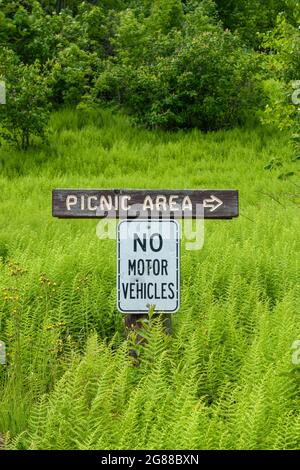 Picknick-Bereich und No Motor Vehicles-Schilder in einem Farnfeld, in der Nähe des Wanderweges Mt. Kearsarge. Mount Kearsarge, Rollins State Park, Warner, New Hampshire Stockfoto