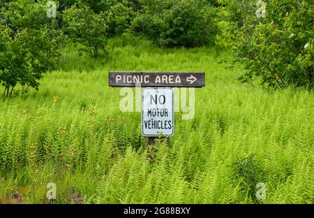 Picknick-Bereich und No Motor Vehicles-Schilder in einem Farnfeld, in der Nähe des Wanderweges Mt. Kearsarge. Mount Kearsarge, Rollins State Park, Warner, New Hampshire Stockfoto