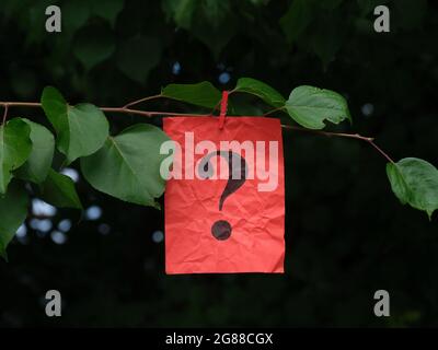 Eine rote Papiernote mit einem Fragezeichen darauf, das von einem Baumzweig mit einer Wäscheklammer hängt. Nahaufnahme. Stockfoto