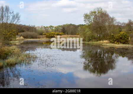 Der See bei den alten Bleiminen in Conlig, County Down in Nordirland. Diese umweltfreundliche Wasserstraße ist jetzt der perfekte Ort für Wildli Stockfoto