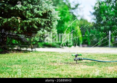Rotorkopf-Sprinkler, der Wasser über grünes Gras streckt, revitalisieren trockenes Gras. Bewässerungssystem. Stockfoto