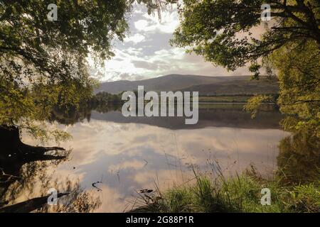 Loch Alvie in Schottland im Sommer Stockfoto