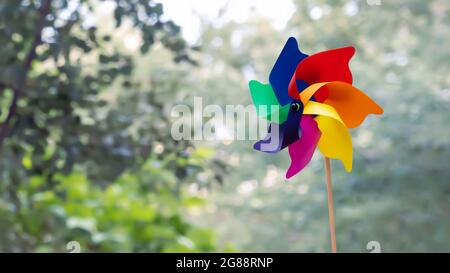 Bunte Wetterfahne auf grünem Hintergrund Stockfoto