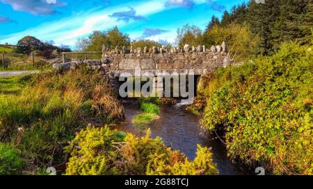 Alte Granitsteinbrücke über den Walla Brook, in der Nähe von Postbridge, Dartmoor, Devon, Großbritannien Stockfoto