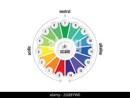 PH-Wert-Skala-Diagrammmessgerät für saure und alkalische Lösungen isoliert auf weißem Hintergrund. Stock Vektor