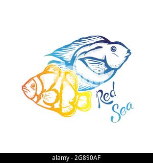 Exotische Fische von Korallenriff und Red Sea Schriftzug. Gut für T-Shirt-Drucke und Souvenirs. Stock Vektor