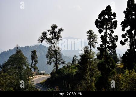 Ariel Ansicht , Landschaft mit Baum, Graten und kurvige Straße Autobahn Stockfoto