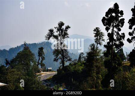 Ariel Ansicht , Landschaft mit Baum, Graten und kurvige Straße Autobahn Stockfoto