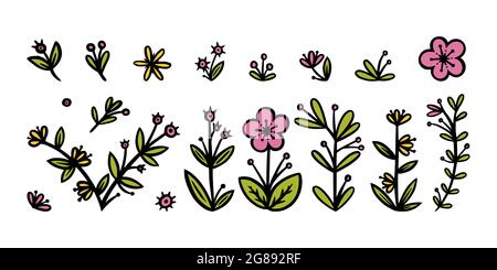 Blumen, Blätter und Äste Elemente für Ornamente. Dekorative florale Elemente für verschiedene Designs. Doodle Vektorgrafik isoliert in weiß Stock Vektor