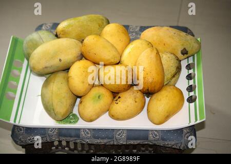 Vielfalt indischer Mangos (Mangifera indica) Stockfoto