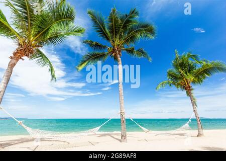 Hängematten hängen zwischen Kokospalmen am idyllischen weißen Sandstrand an sonnigen, hellen Tagen mit klarem und sauberem blauen Himmel und Wolken. Wunderschöne Aussicht auf die Metro Stockfoto