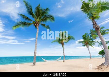 Hängematten hängen zwischen Kokospalmen am idyllischen weißen Sandstrand an sonnigen, hellen Tagen mit klarem und sauberem blauen Himmel und Wolken. Wunderschöne Aussicht auf die Metro Stockfoto