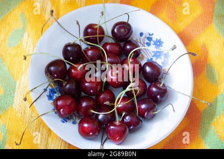 Eine Kirsche ist die Frucht vieler Pflanzen der Gattung Prunus und eine fleischige Steinfrucht Stockfoto