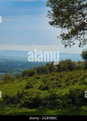 Ein schrubber Hügel, bedeckt mit Pflanzen und Wildblumen, vor einem Tal und Nebel gehüllten Hügel am fernen Horizont, unter einem sommerlich blauen Himmel. Stockfoto