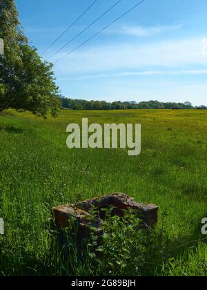 Unter einem sommerlichen Himmel mit weißen Wolkenbändern ragt ein üppiges, grünes Feld zu einem bewaldeten Horizont ab. Eine kleine Ziegelstruktur gibt den Vordergrund Fokus. Stockfoto