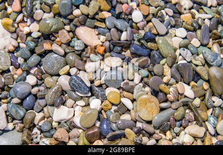 Mehrfarbige Kieselsteine am Strand. Nasse Steine, natürlicher Hintergrund, Draufsicht Stockfoto