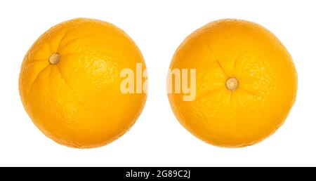 Ganz Valencia orange, Seitenansicht und von oben, isoliert, auf weißem Hintergrund. Reife und süße Frucht von Citrus sinensis, einer kernlosen Frucht. Stockfoto